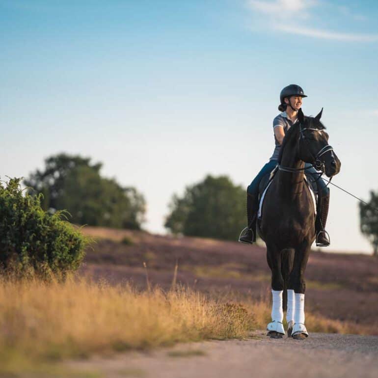 Foto von Frau mit Pferd in der Lüneburger Heide
