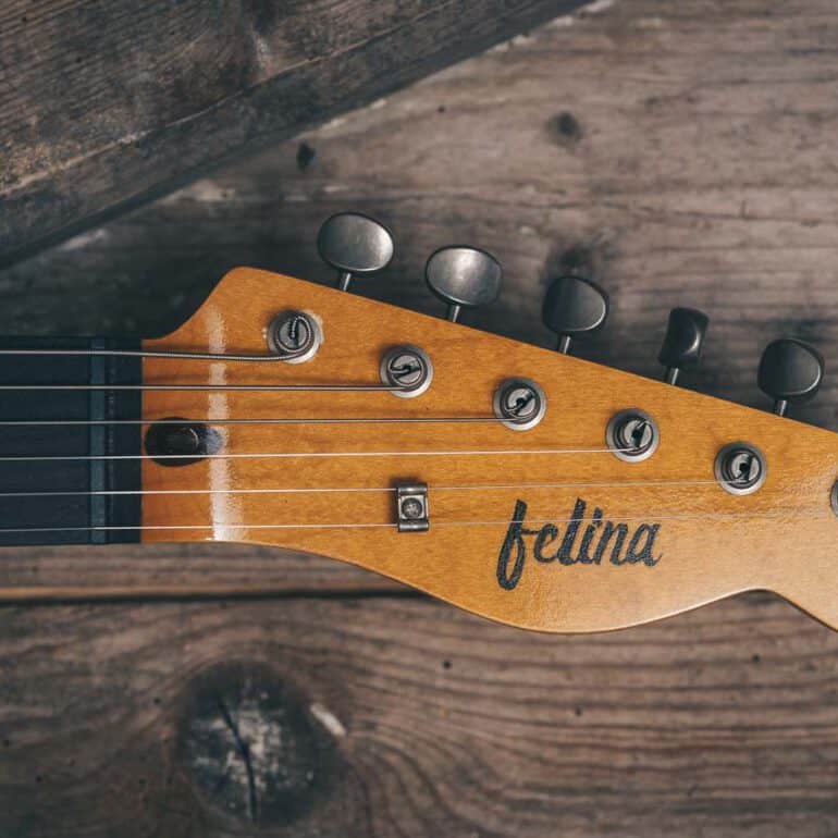 Foto von Gitarre Felina
